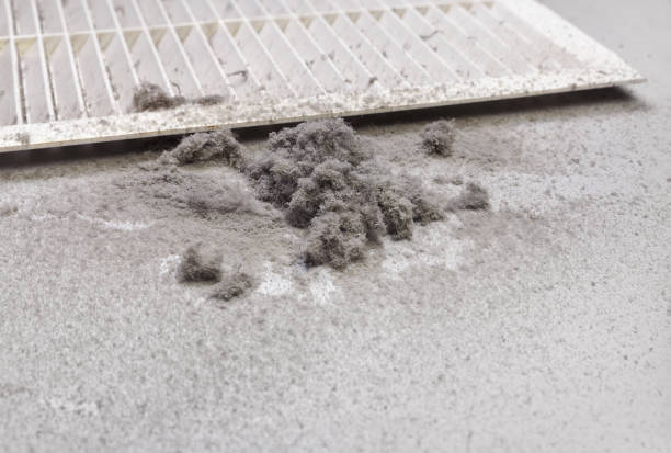 Best Local Air Duct Cleaning Services  in Lake City, GA